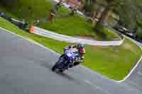 anglesey;brands-hatch;cadwell-park;croft;donington-park;enduro-digital-images;event-digital-images;eventdigitalimages;mallory;no-limits;oulton-park;peter-wileman-photography;racing-digital-images;silverstone;snetterton;trackday-digital-images;trackday-photos;vmcc-banbury-run;welsh-2-day-enduro